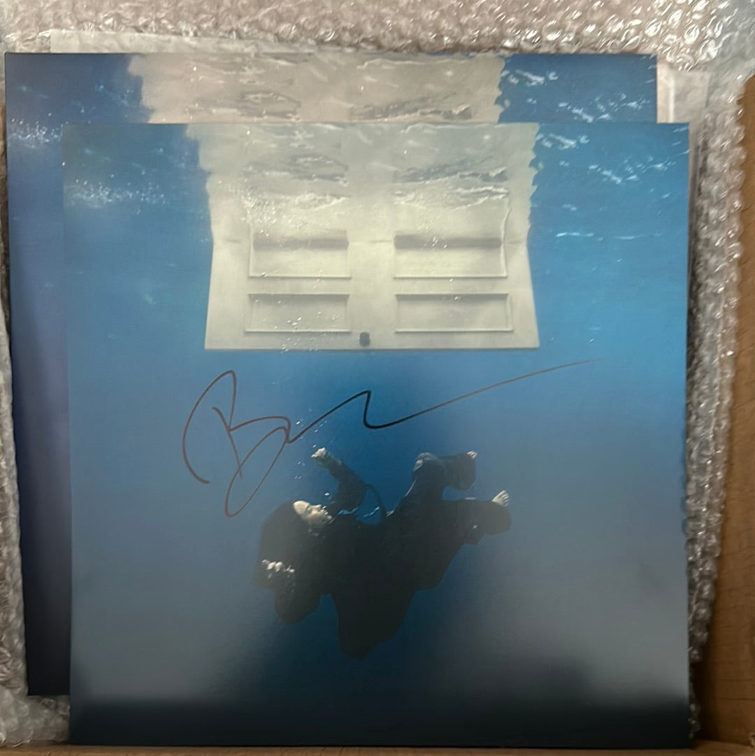 Signed insert + Hit Me Hard And Soft Vinyl